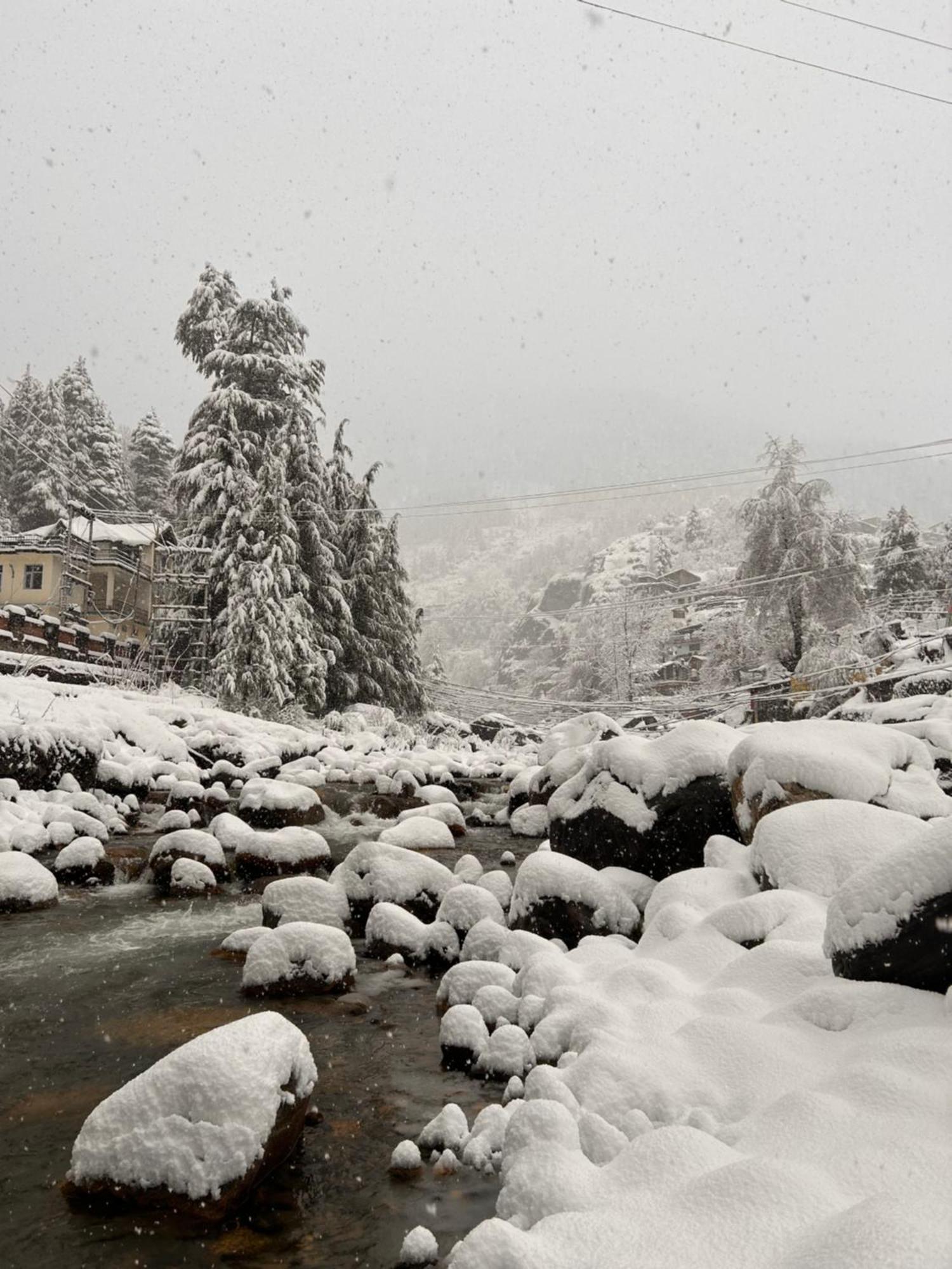 Hostel 360 Degree Manali  Bagian luar foto
