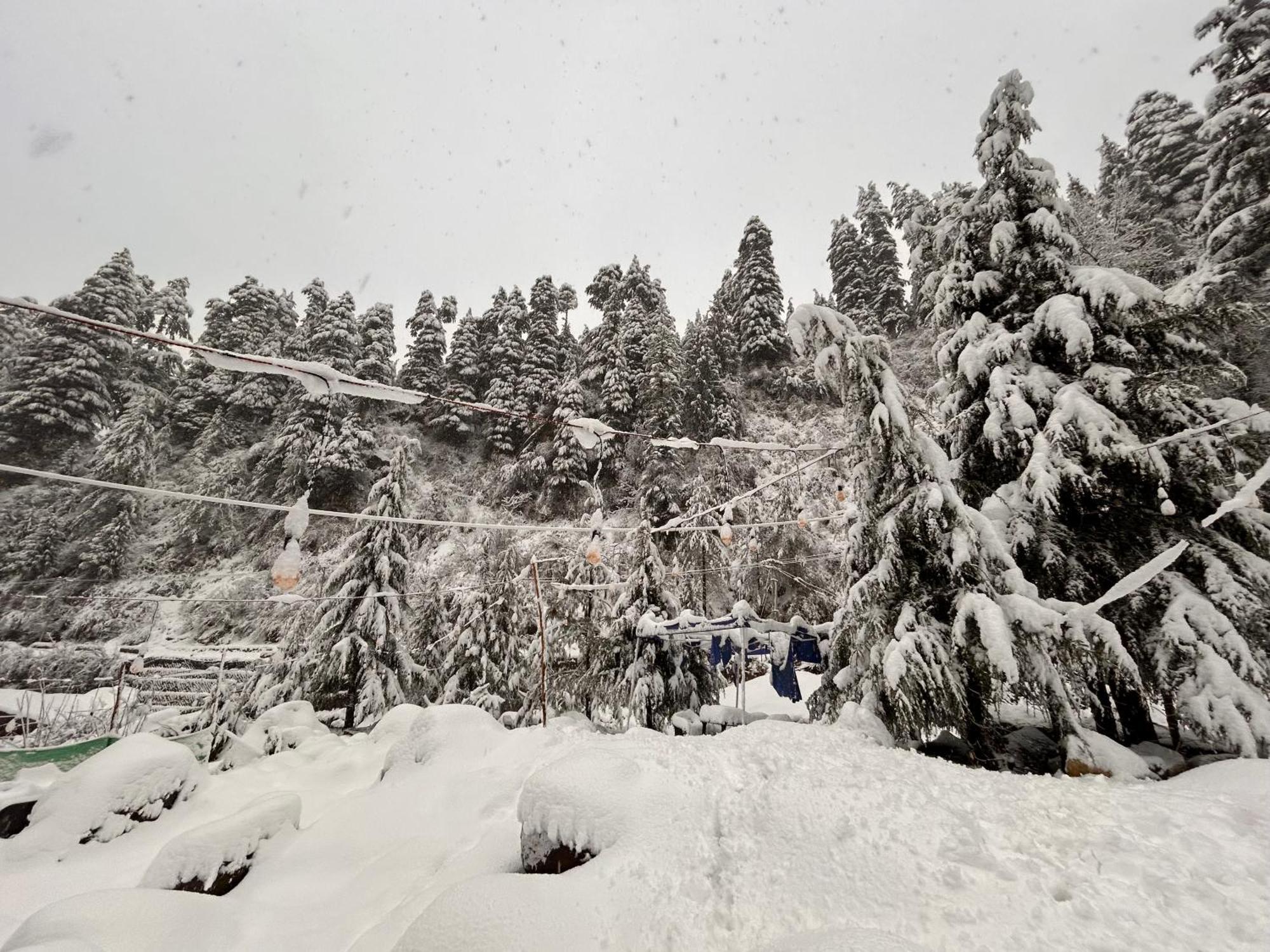 Hostel 360 Degree Manali  Bagian luar foto